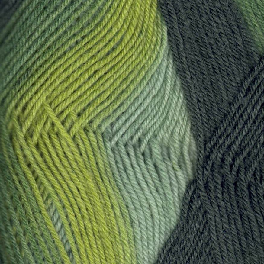 Lang Yarns Twin Soxx