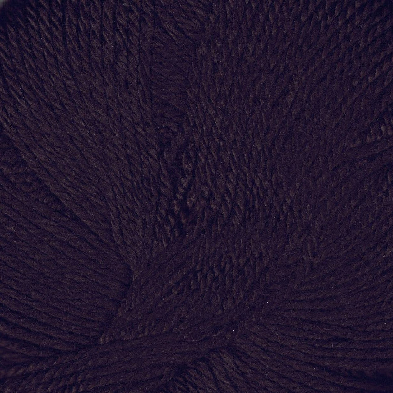 Lana Gatto Prestige 100% Cashmere